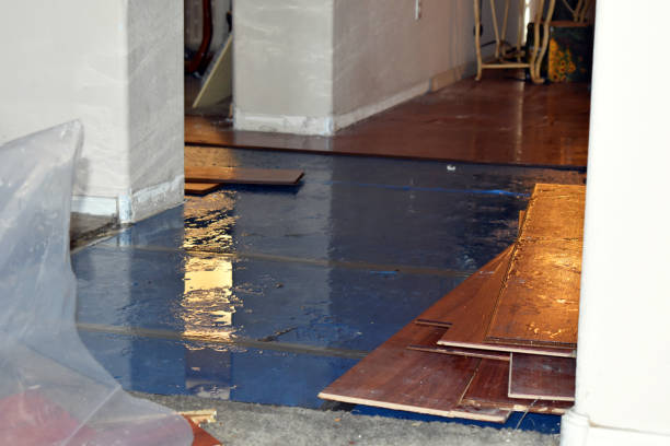Professional Water Extraction technician working in New Home, TX
